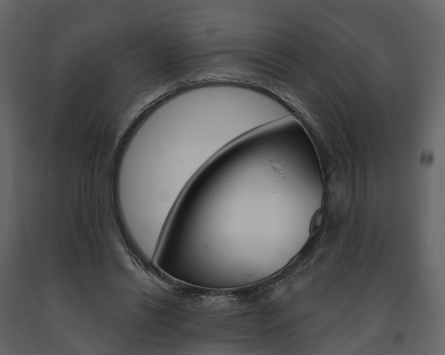 X0000091690446200708231134