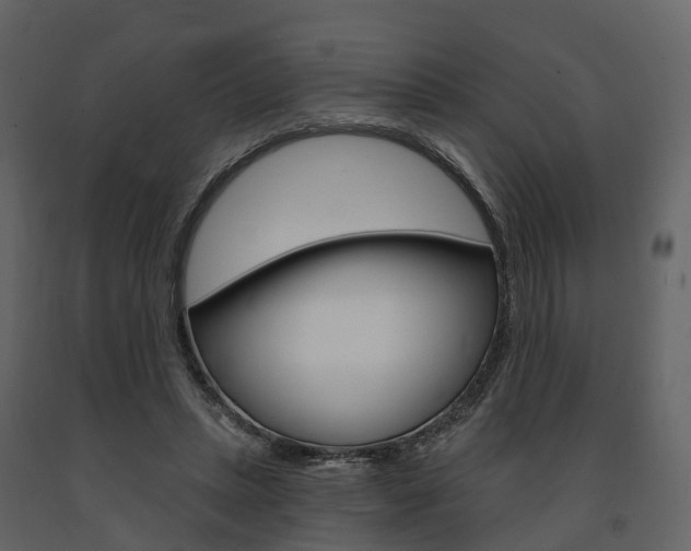 X0000091690447200708231134