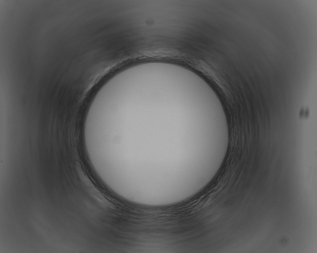 X0000091690448200708231134