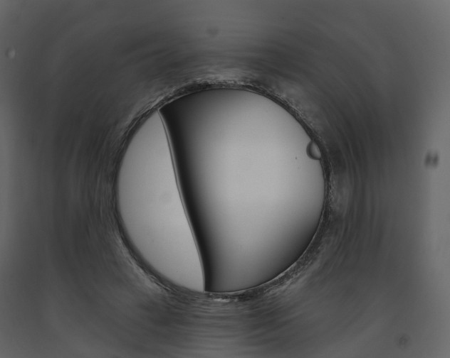X0000091690449200708231134