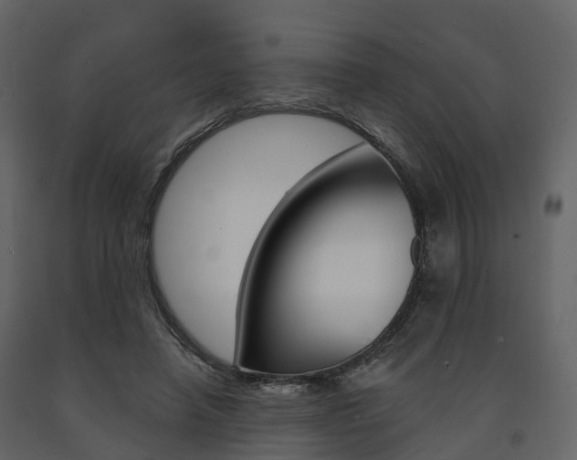 X0000091690450200708231134
