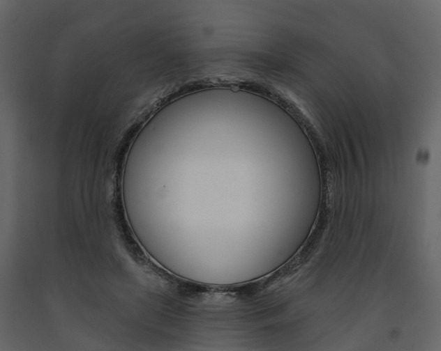 X0000091690451200708231134