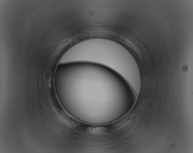 X0000091690452200708231134