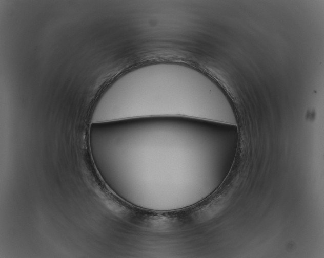 X0000091690453200708231134
