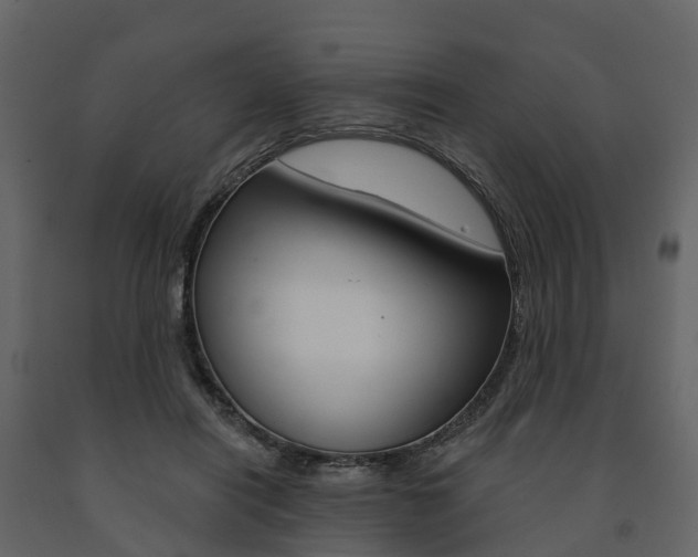 X0000091690454200708231134