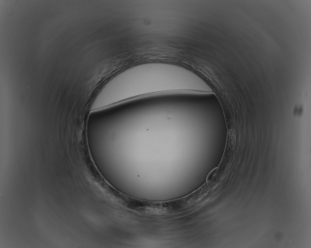 X0000091690458200708231134
