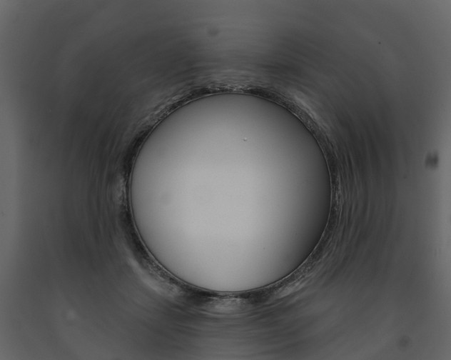 X0000091690459200708231134
