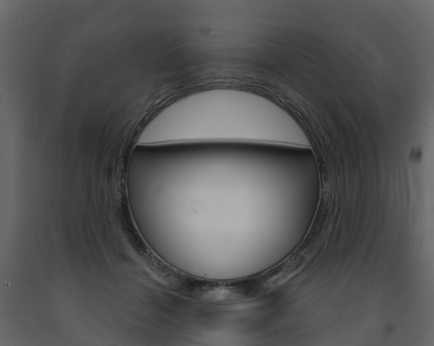 X0000091690460200708231134