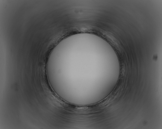 X0000091690461200708231134