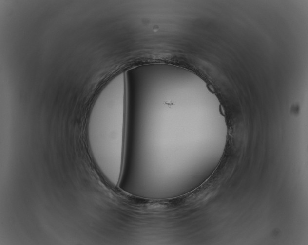 X0000091690462200708231134