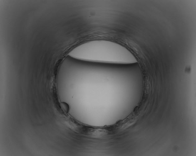X0000091690463200708231134