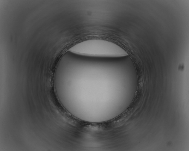X0000091690464200708231134