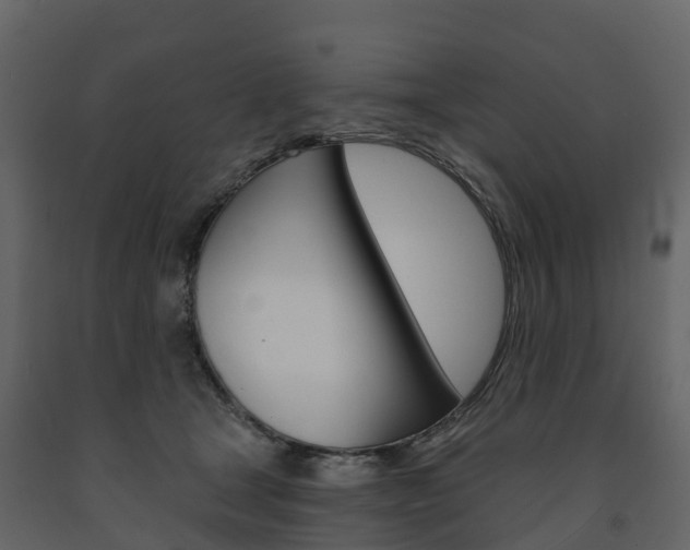 X0000091690465200708231134