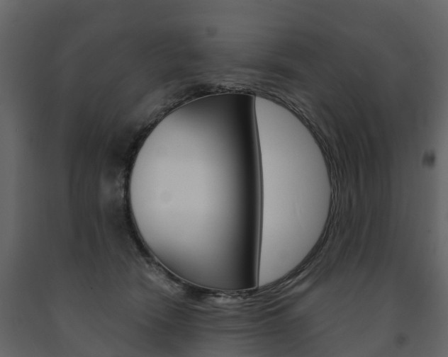 X0000091690466200708231134