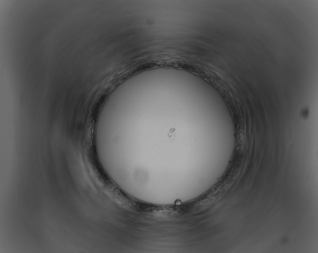 X0000091690468200708231134