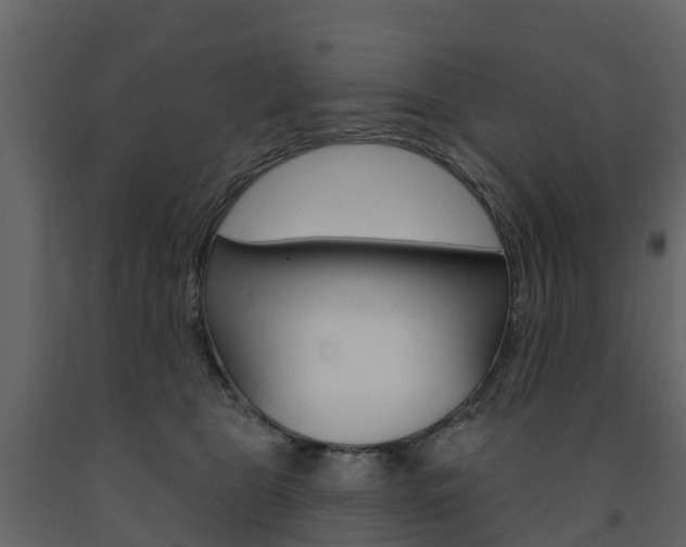 X0000091690469200708231134