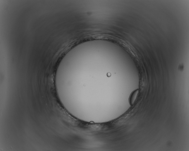 X0000091690473200708231134