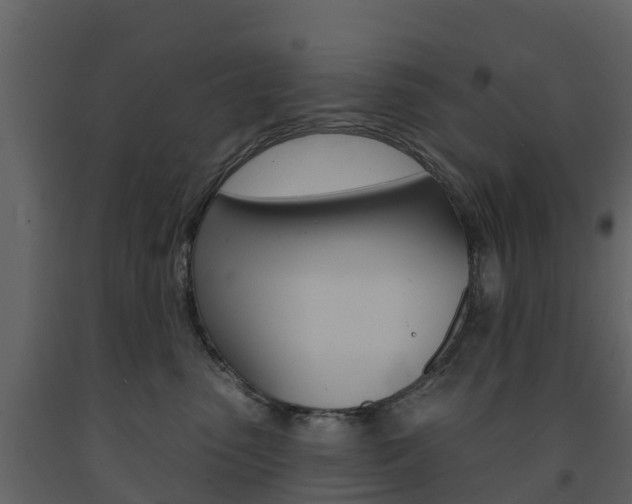 X0000091690475200708231134