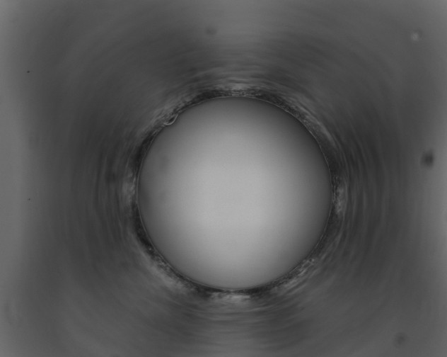 X0000091690476200708231134