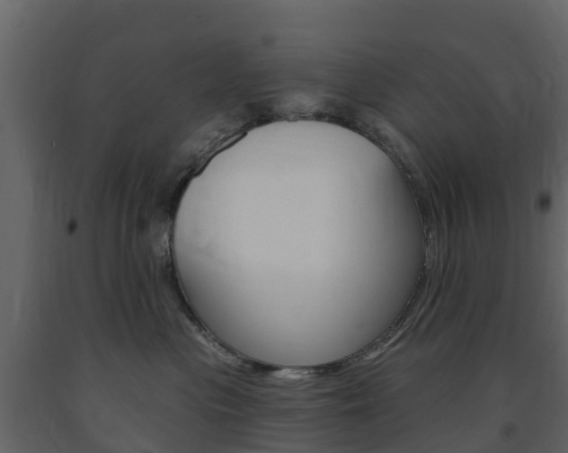 X0000091690477200708231134