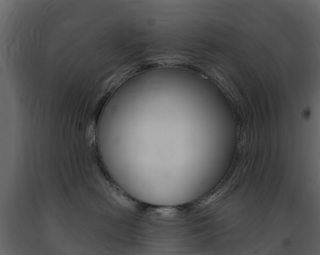 X0000091690478200708231134