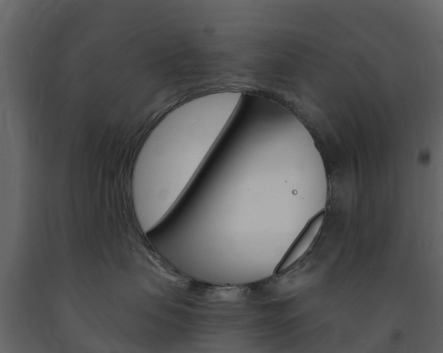 X0000091690479200708231134
