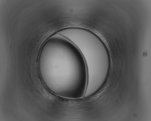 X0000091690481200708231134