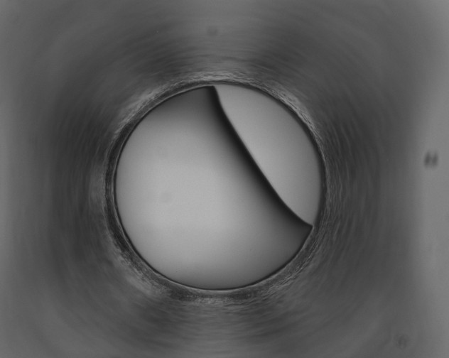 X0000091690482200708231134