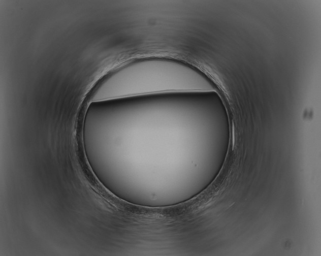 X0000091690483200708231134