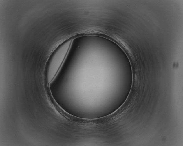 X0000091690485200708231134