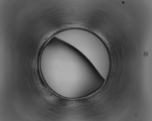X0000091690486200708231134