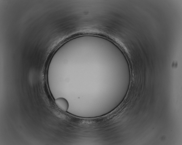 X0000091690487200708231134