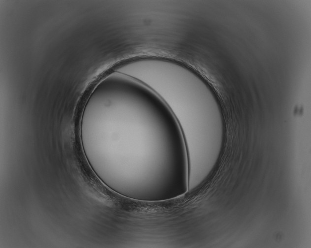 X0000091690488200708231134