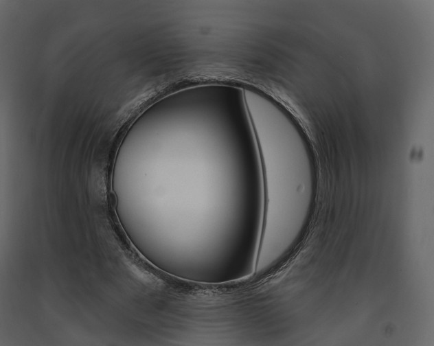 X0000091690489200708231134