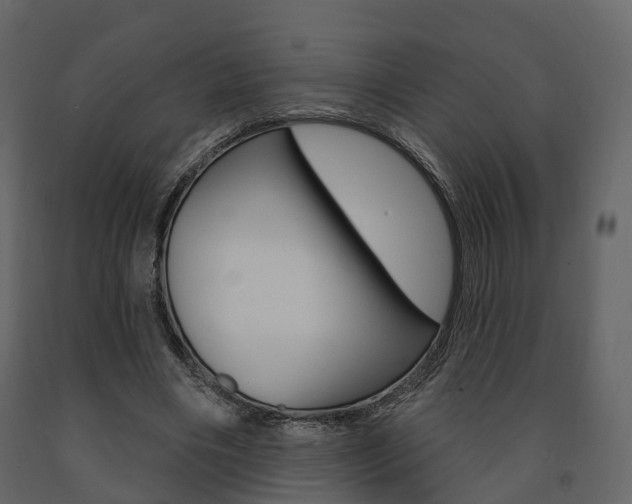 X0000091690490200708231134