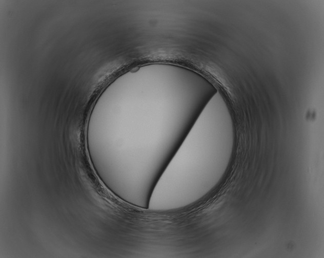 X0000091690491200708231134
