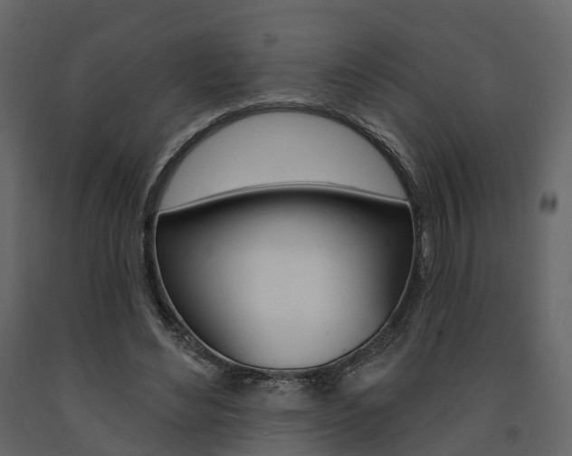 X0000091690492200708231134