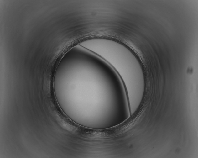 X0000091690493200708231134