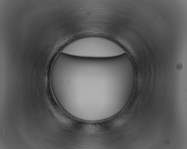 X0000091690494200708231134