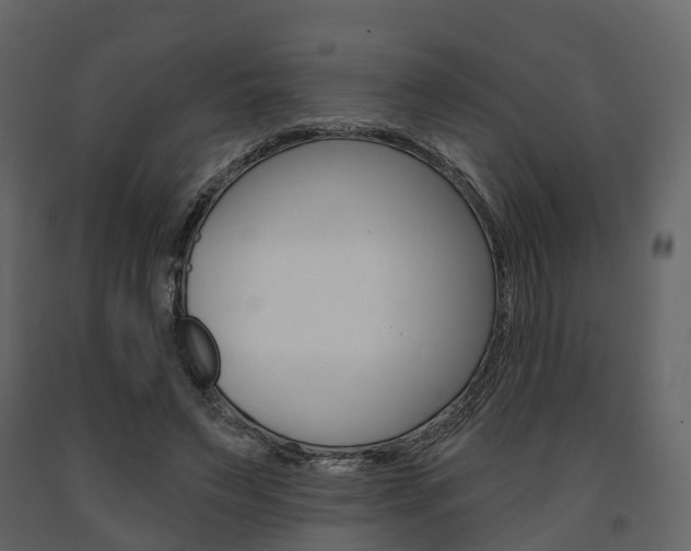 X0000091690495200708231134