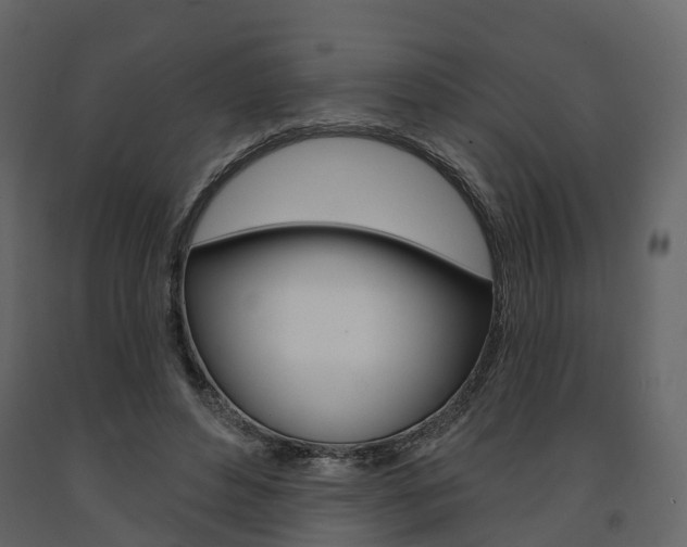 X0000091690496200708231134