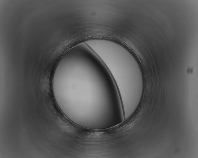 X0000091690497200708231134