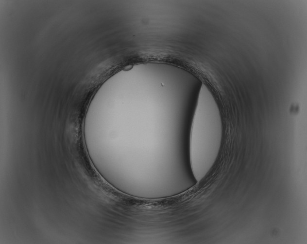 X0000091690498200708231134