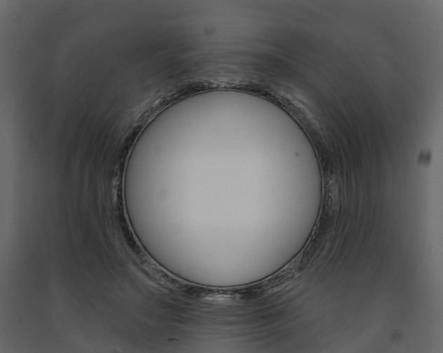 X0000091690499200708231133