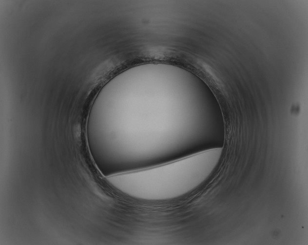 X0000091690500200708231133