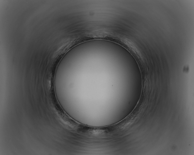 X0000091690501200708231133
