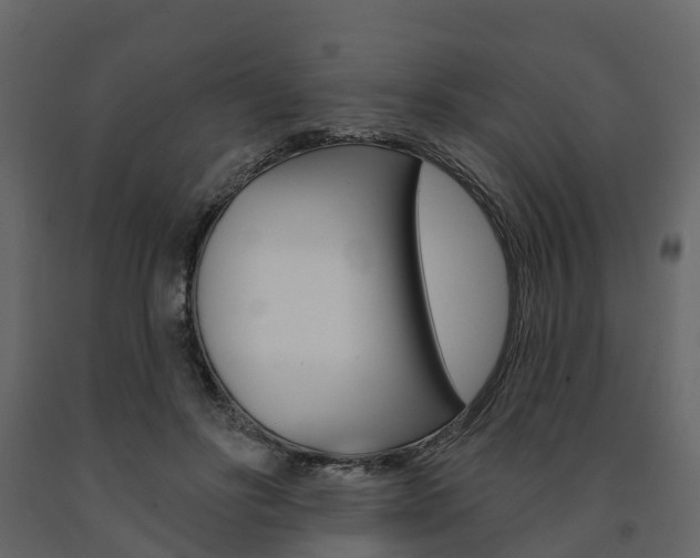 X0000091690502200708231133