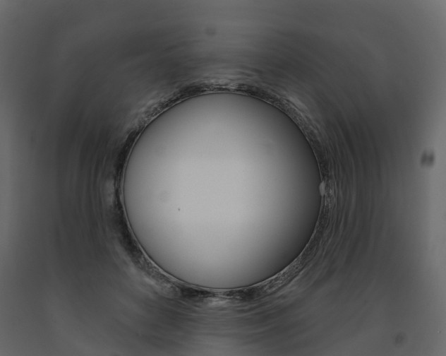 X0000091690504200708231133