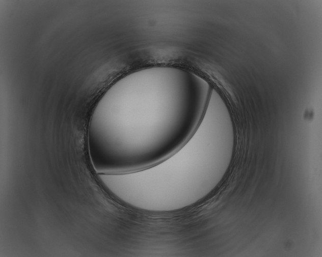 X0000091690505200708231133