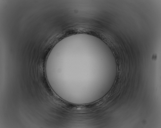 X0000091690506200708231133